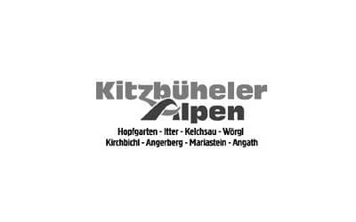 Sponsor 1